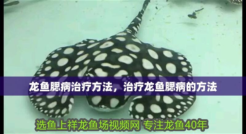 龍魚腮病治療方法，治療龍魚腮病的方法