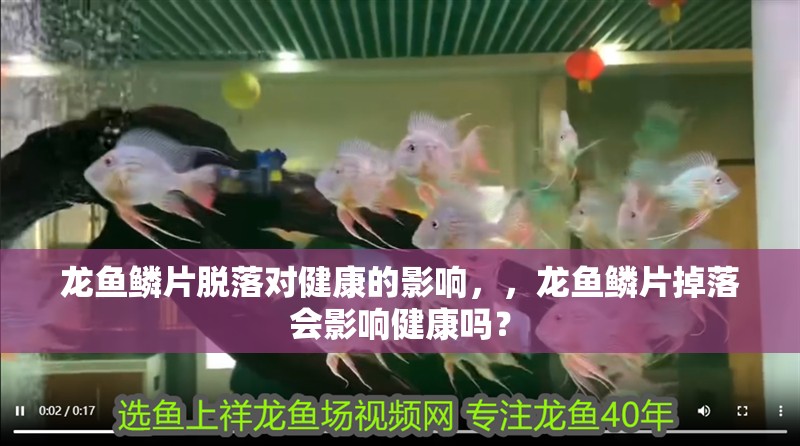 龍魚鱗片脫落對健康的影響，，龍魚鱗片掉落會影響健康嗎？