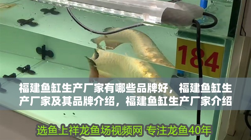 福建魚缸生產廠家有哪些品牌好，福建魚缸生產廠家及其品牌介紹，福建魚缸生產廠家介紹