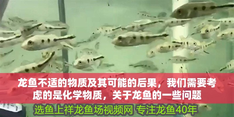 龍魚(yú)不適的物質(zhì)及其可能的后果，我們需要考慮的是化學(xué)物質(zhì)，關(guān)于龍魚(yú)的一些問(wèn)題