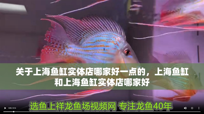 關(guān)于上海魚缸實(shí)體店哪家好一點(diǎn)的，上海魚缸和上海魚缸實(shí)體店哪家好