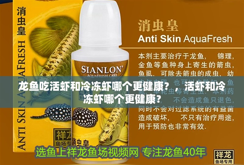 龍魚吃活蝦和冷凍蝦哪個更健康？，活蝦和冷凍蝦哪個更健康？