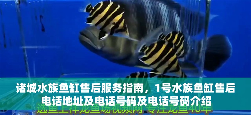 諸城水族魚缸售后服務指南，1號水族魚缸售后電話地址及電話號碼及電話號碼介紹