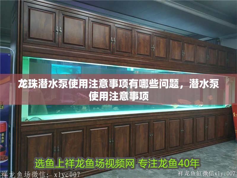 龍珠潛水泵使用注意事項(xiàng)有哪些問題，潛水泵使用注意事項(xiàng)