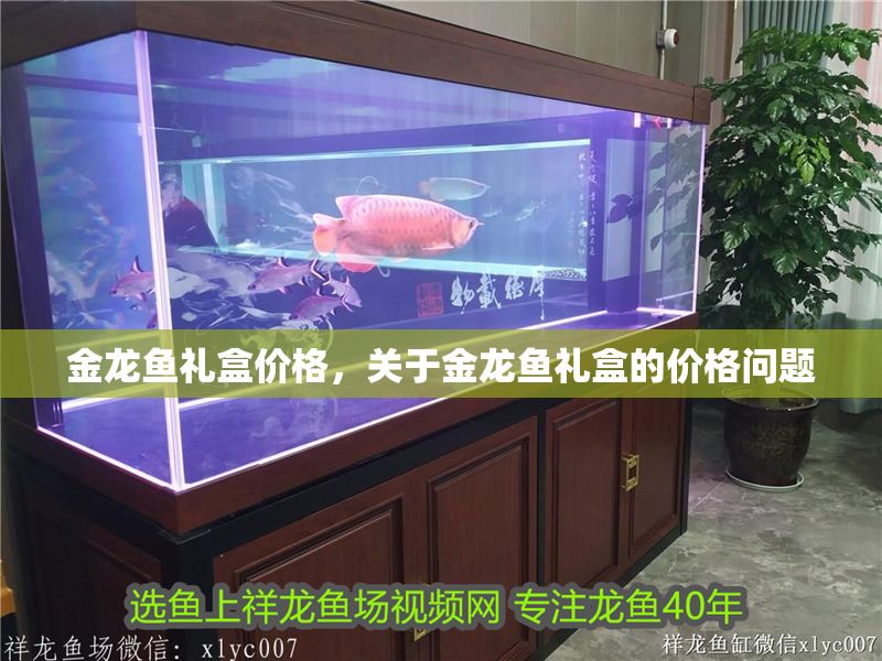 金龍魚禮盒價格，關于金龍魚禮盒的價格問題