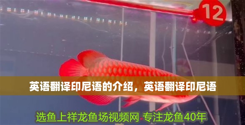 英語翻譯印尼語的介紹，英語翻譯印尼語