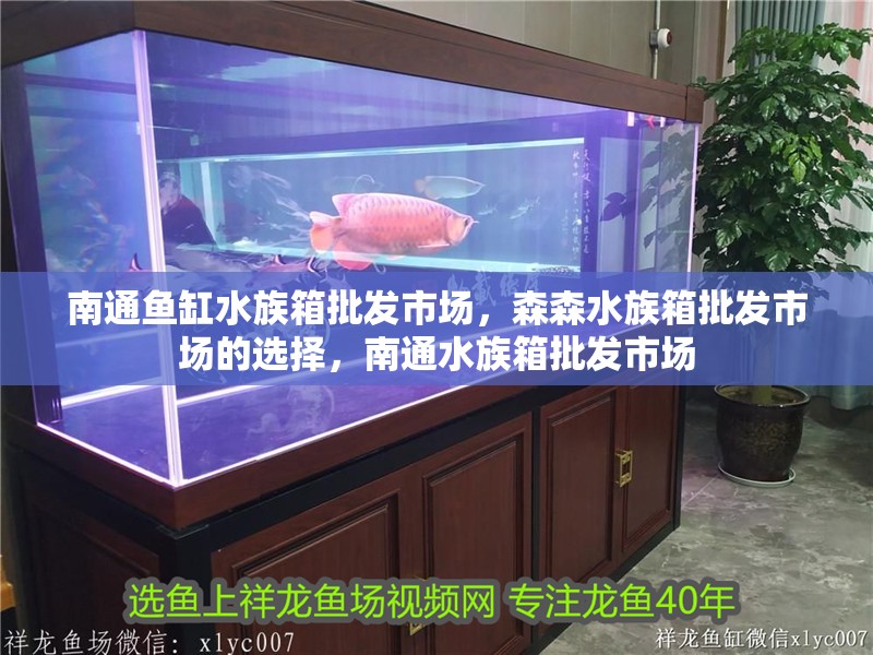 南通魚缸水族箱批發市場，森森水族箱批發市場的選擇，南通水族箱批發市場