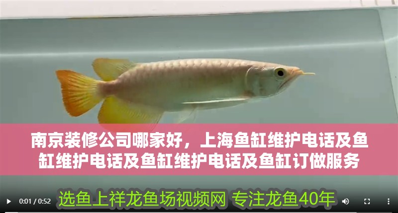 南京裝修公司哪家好，上海魚缸維護電話及魚缸維護電話及魚缸維護電話及魚缸訂做服務