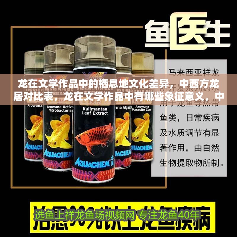 龍在文學(xué)作品中的棲息地文化差異，中西方龍居對比表，龍在文學(xué)作品中有哪些象征意義，中西方龍居對比表