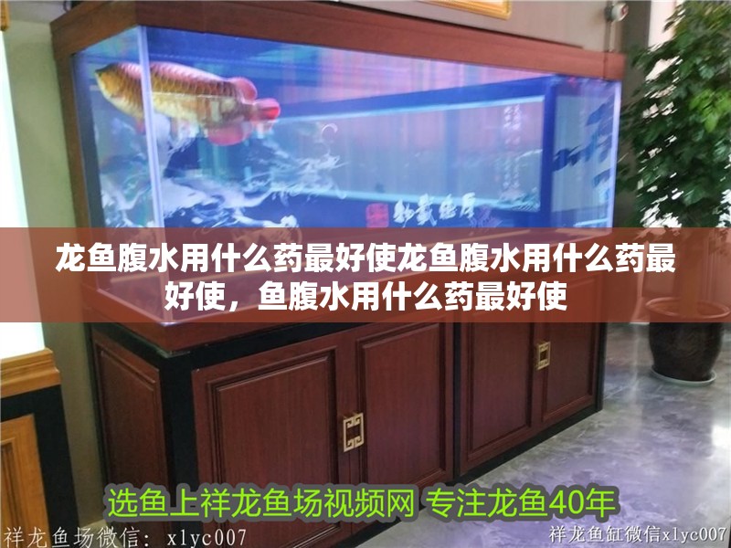 龍魚腹水用什么藥最好使龍魚腹水用什么藥最好使，魚腹水用什么藥最好使