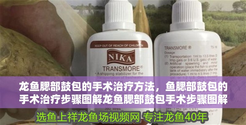 龍魚腮部鼓包的手術治療方法，魚腮部鼓包的手術治療步驟圖解龍魚腮部鼓包手術步驟圖解