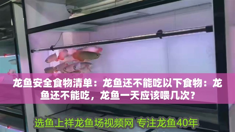 龍魚安全食物清單：龍魚還不能吃以下食物：龍魚還不能吃，龍魚一天應該喂幾次？