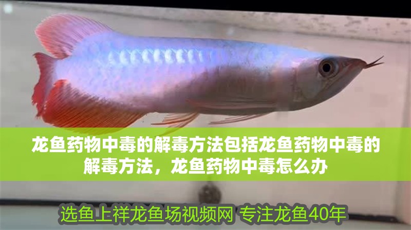 龍魚藥物中毒的解毒方法包括龍魚藥物中毒的解毒方法，龍魚藥物中毒怎么辦