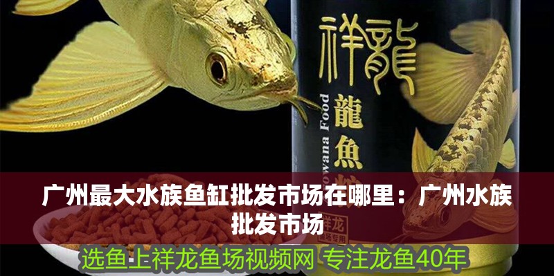 廣州最大水族魚(yú)缸批發(fā)市場(chǎng)在哪里：廣州水族批發(fā)市場(chǎng)