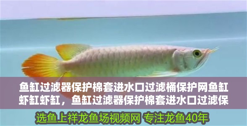 魚缸過濾器保護棉套進水口過濾桶保護網魚缸蝦缸蝦缸，魚缸過濾器保護棉套進水口過濾保護網保護網魚缸過濾器保護棉套