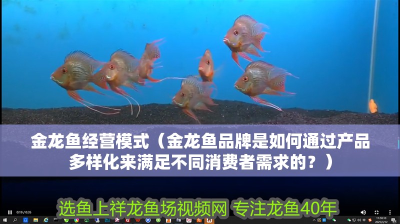 金龍魚經(jīng)營模式（金龍魚品牌是如何通過產(chǎn)品多樣化來滿足不同消費(fèi)者需求的？）