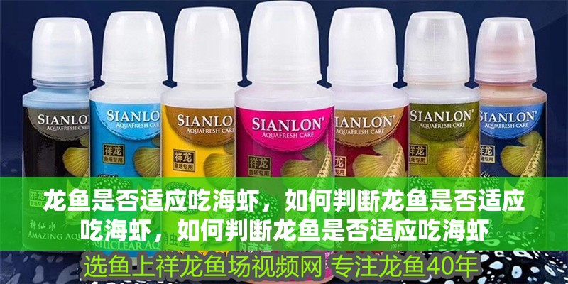 龍魚是否適應吃海蝦，如何判斷龍魚是否適應吃海蝦，如何判斷龍魚是否適應吃海蝦