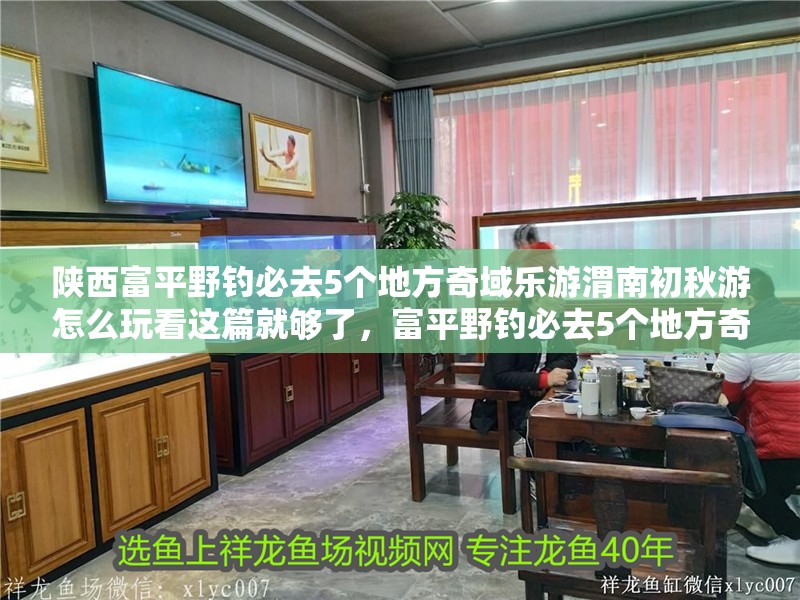 陜西富平野釣必去5個地方奇域樂游渭南初秋游怎么玩看這篇就夠了，富平野釣必去5個地方奇域樂游