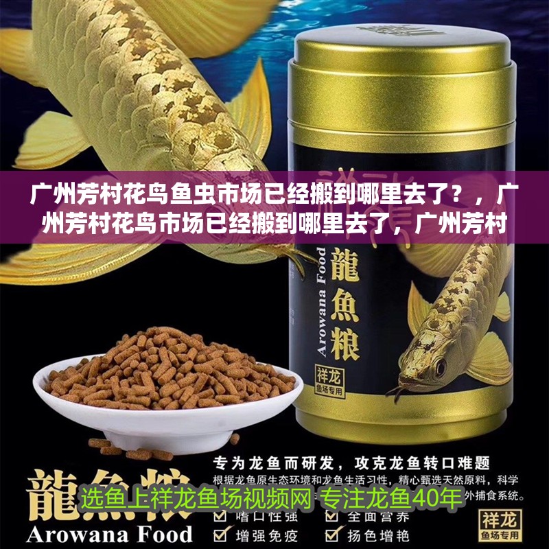 廣州芳村花鳥魚蟲市場已經(jīng)搬到哪里去了？，廣州芳村花鳥市場已經(jīng)搬到哪里去了，廣州芳村花鳥市場已經(jīng)搬到哪里了