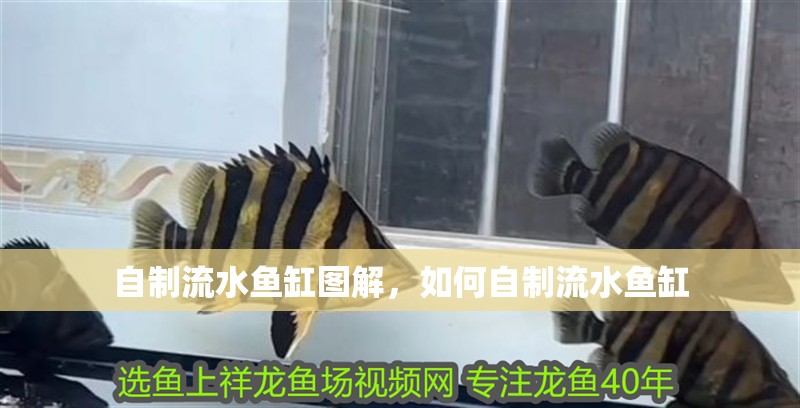自制流水魚缸圖解，如何自制流水魚缸