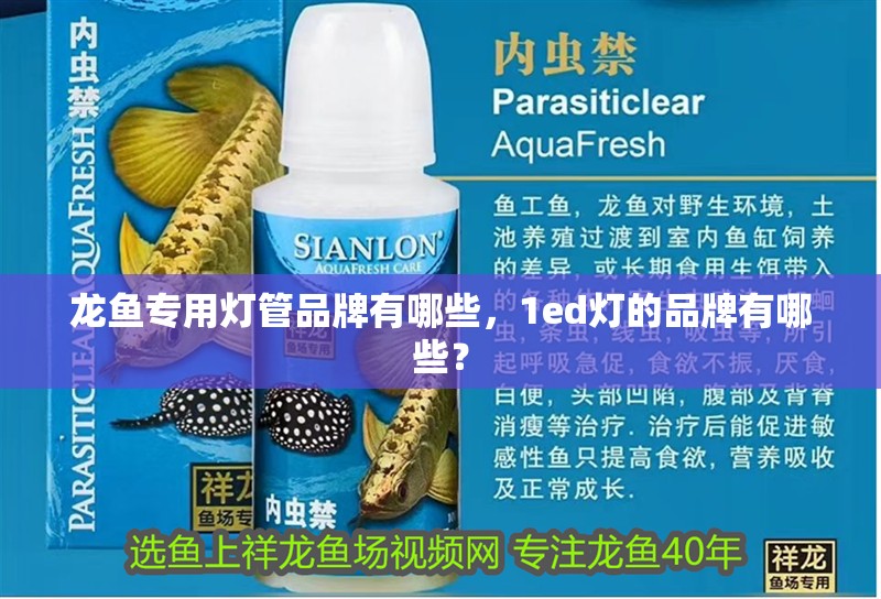 龍魚專用燈管品牌有哪些，1ed燈的品牌有哪些？