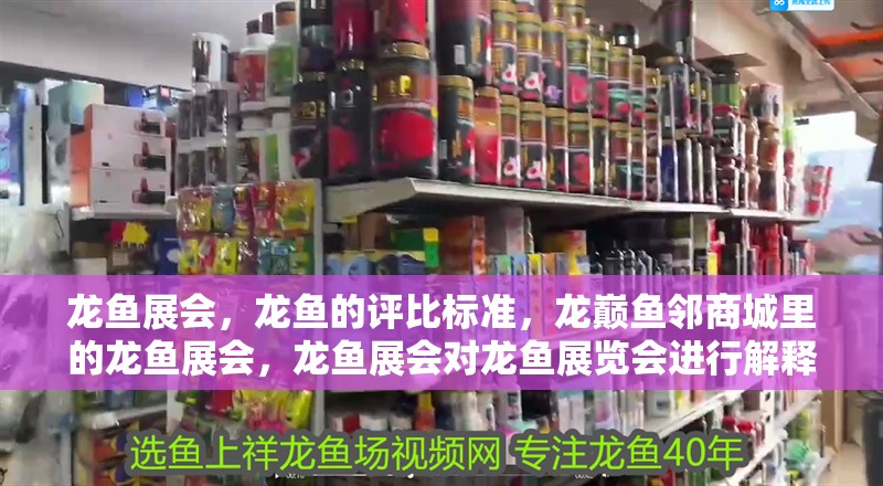 龍魚展會，龍魚的評比標準，龍巔魚鄰商城里的龍魚展會，龍魚展會對龍魚展覽會進行解釋