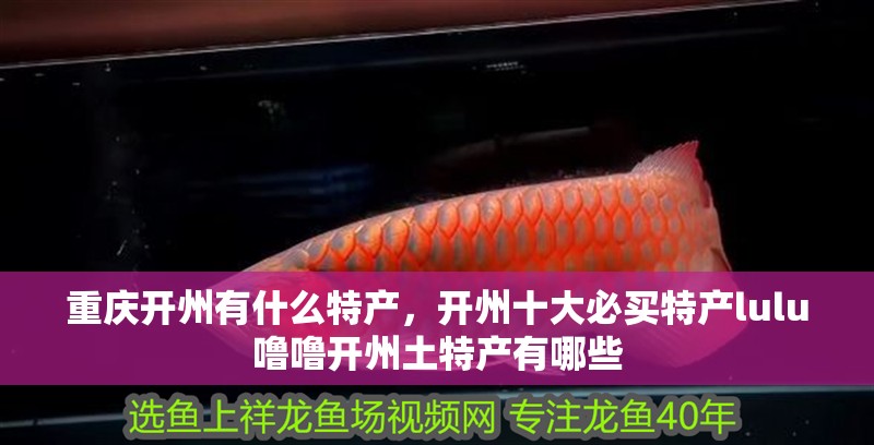 重慶開州有什么特產，開州十大必買特產lulu嚕嚕開州土特產有哪些