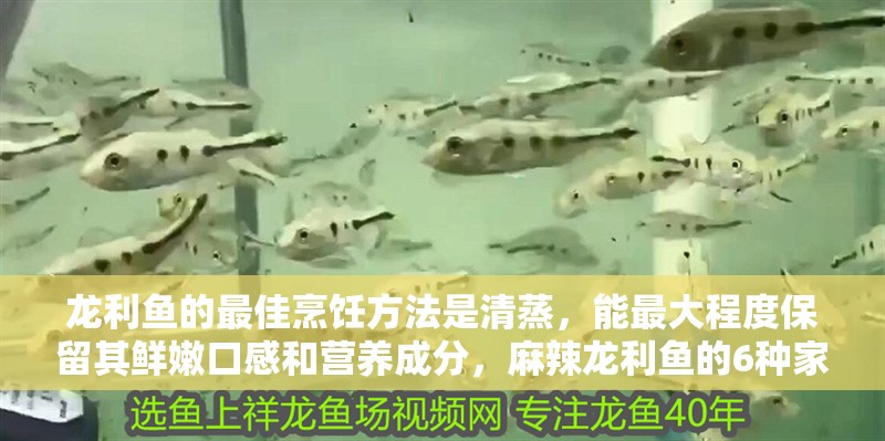 龍利魚的最佳烹飪方法是清蒸，能最大程度保留其鮮嫩口感和營養(yǎng)成分，麻辣龍利魚的6種家常做法，外酥里嫩家人都愛吃