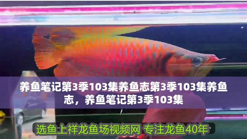 養魚筆記第3季103集養魚志第3季103集養魚志，養魚筆記第3季103集