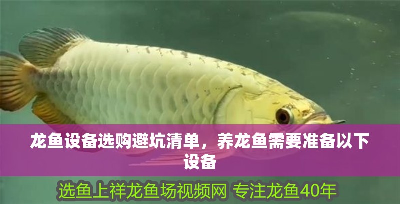 龍魚設備選購避坑清單，養龍魚需要準備以下設備