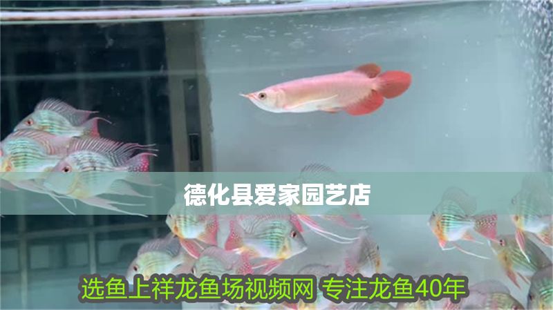 德化縣愛家園藝店