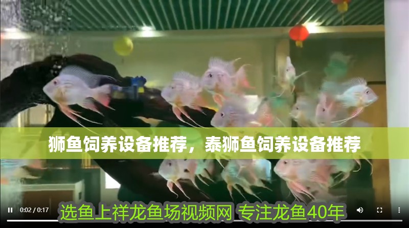 獅魚飼養(yǎng)設(shè)備推薦，泰獅魚飼養(yǎng)設(shè)備推薦