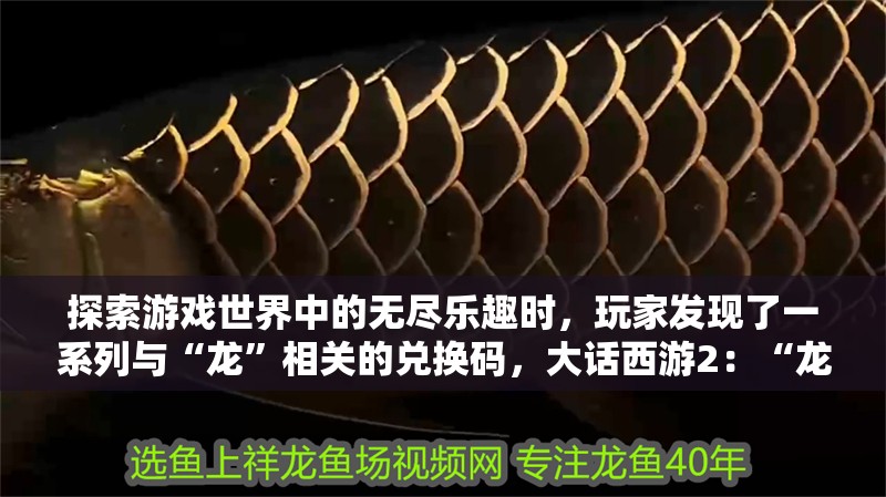 探索游戲世界中的無盡樂趣時，玩家發(fā)現(xiàn)了一系列與“龍”相關(guān)的兌換碼，大話西游2：“龍”主題的兌換碼，近期有效