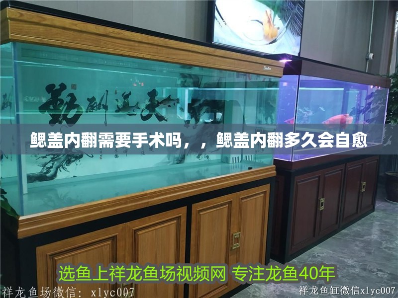 鰓蓋內翻需要手術嗎，，鰓蓋內翻多久會自愈