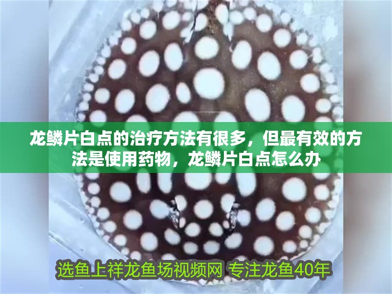 龍鱗片白點的治療方法有很多，但最有效的方法是使用藥物，龍鱗片白點怎么辦