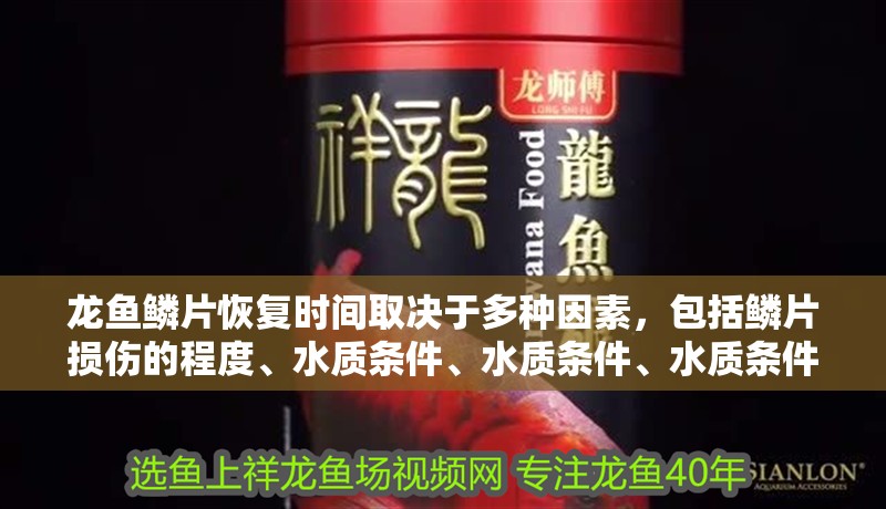 龍魚鱗片恢復(fù)時(shí)間取決于多種因素，包括鱗片損傷的程度、水質(zhì)條件、水質(zhì)條件、水質(zhì)條件，如何加速龍魚鱗片恢復(fù)