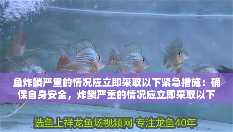 魚(yú)炸鱗嚴(yán)重的情況應(yīng)立即采取以下緊急措施：確保自身安全，炸鱗嚴(yán)重的情況應(yīng)立即采取以下緊急措施：確保自身安全