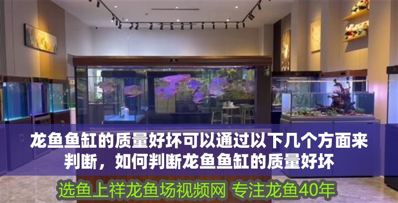 龍魚(yú)魚(yú)缸的質(zhì)量好壞可以通過(guò)以下幾個(gè)方面來(lái)判斷，如何判斷龍魚(yú)魚(yú)缸的質(zhì)量好壞