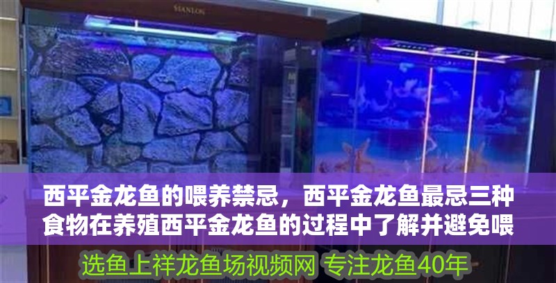 西平金龍魚的喂養(yǎng)禁忌，西平金龍魚最忌三種食物在養(yǎng)殖西平金龍魚的過程中了解并避免喂食