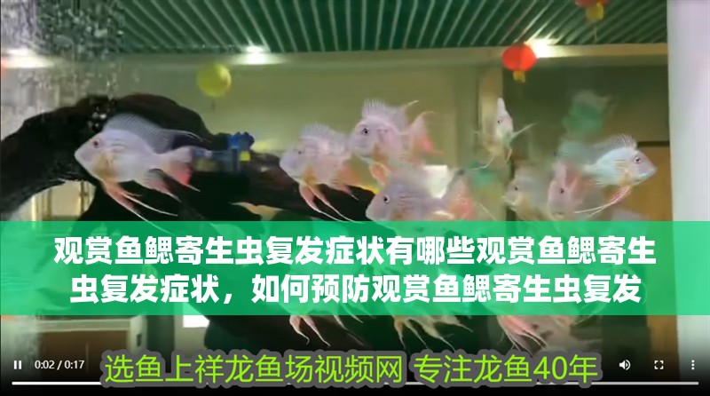 觀賞魚鰓寄生蟲復發癥狀有哪些觀賞魚鰓寄生蟲復發癥狀，如何預防觀賞魚鰓寄生蟲復發