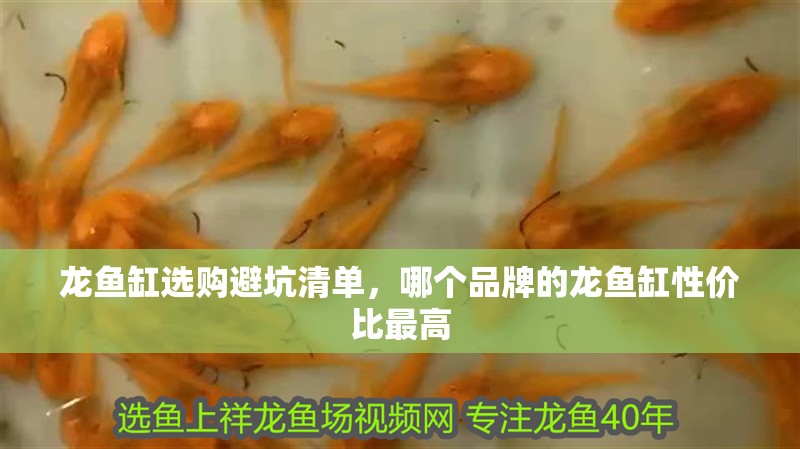 龍魚(yú)缸選購(gòu)避坑清單，哪個(gè)品牌的龍魚(yú)缸性?xún)r(jià)比最高