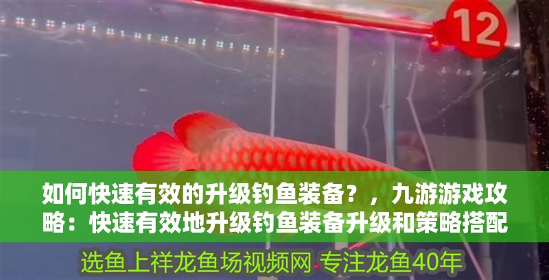 如何快速有效的升級(jí)釣魚(yú)裝備？，九游游戲攻略：快速有效地升級(jí)釣魚(yú)裝備升級(jí)和策略搭配