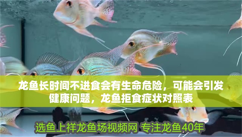龍魚長時間不進食會有生命危險，可能會引發健康問題，龍魚拒食癥狀對照表
