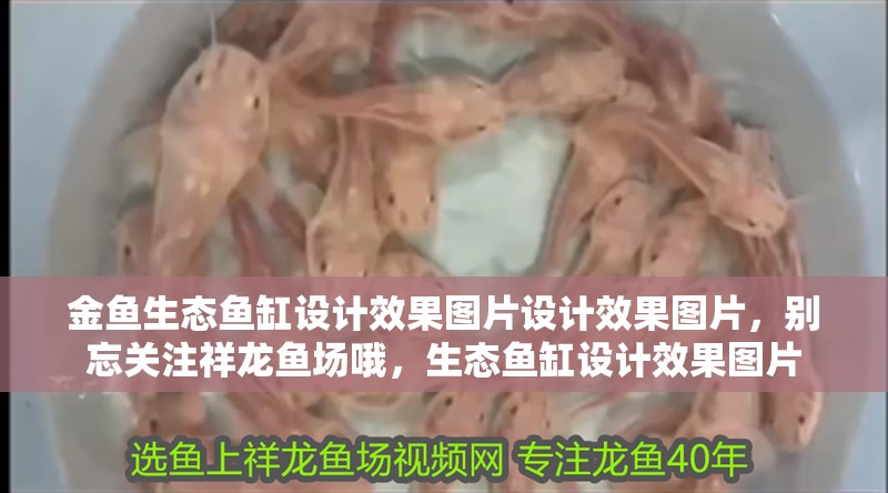 金魚生態(tài)魚缸設(shè)計(jì)效果圖片設(shè)計(jì)效果圖片，別忘關(guān)注祥龍魚場(chǎng)哦，生態(tài)魚缸設(shè)計(jì)效果圖片