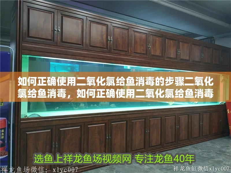 如何正確使用二氧化氯給魚消毒的步驟二氧化氯給魚消毒，如何正確使用二氧化氯給魚消毒