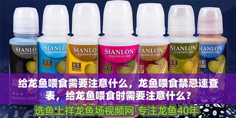 給龍魚喂食需要注意什么，龍魚喂食禁忌速查表，給龍魚喂食時需要注意什么？ 給龍魚喂食需要注意什么，龍魚喂食禁忌速查表，給龍魚喂食時需要注意什么？ 龍魚百科 第1張