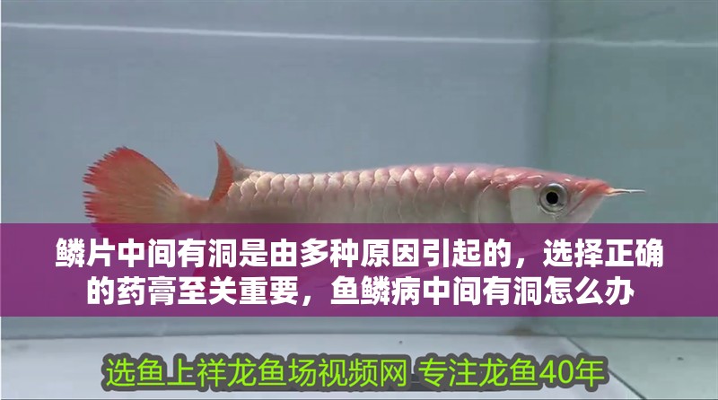 鱗片中間有洞是由多種原因引起的，選擇正確的藥膏至關重要，魚鱗病中間有洞怎么辦