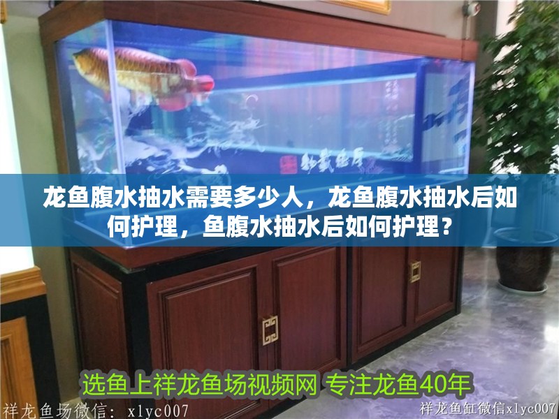 龍魚腹水抽水需要多少人，龍魚腹水抽水后如何護理，魚腹水抽水后如何護理？
