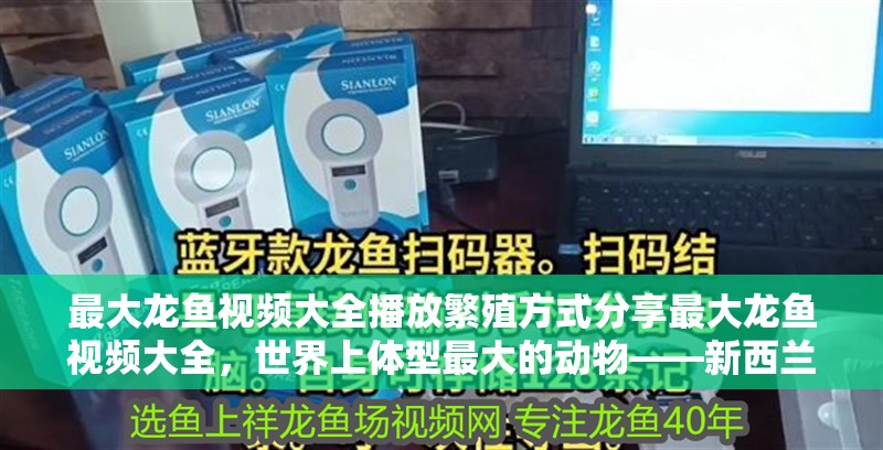 最大龍魚視頻大全播放繁殖方式分享最大龍魚視頻大全，世界上體型最大的動物——新西蘭大龍魚