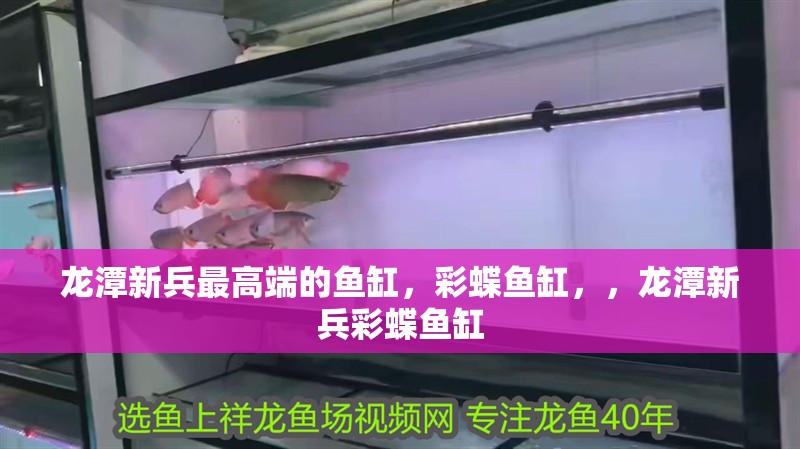 龍潭新兵最高端的魚缸，彩蝶魚缸，，龍潭新兵彩蝶魚缸